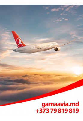 Bilete de avion spre America de Nord! Zbor cu escala la Istanbul